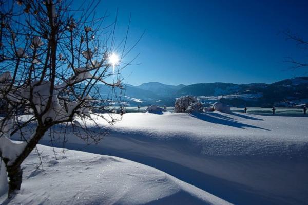 Gasthof Zum Hirsch Görisried Dış mekan fotoğraf